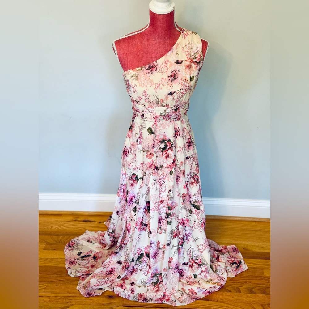 BigHit Fashion Size Small Pink Floral Long Dress New With Tags